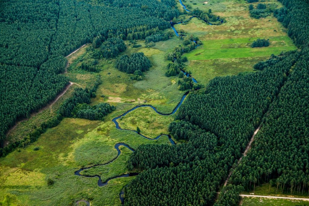 Flusslauf in einer Aue zwischen Wäldern